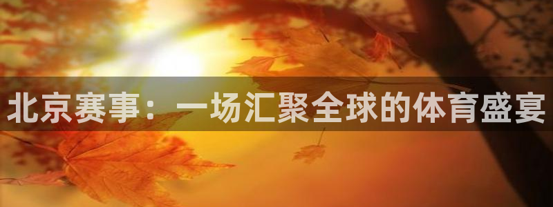 北京赛事：一场汇聚全球的体育盛宴