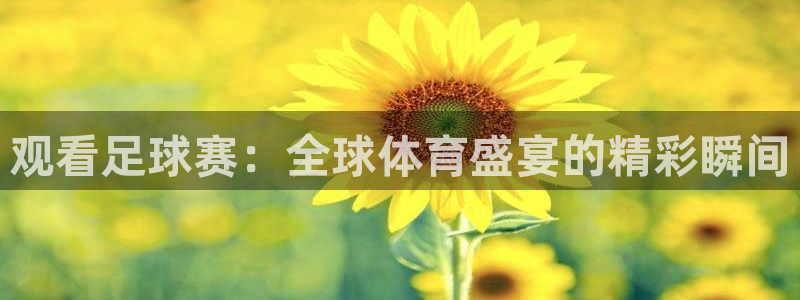 好博体育是正规的吗安全吗可靠吗知乎：观看足球赛：全球体育盛宴