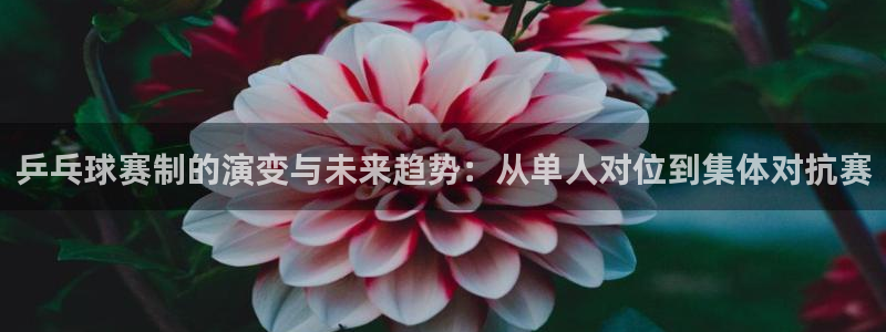 好博体育平台怎么样知乎：乒乓球赛制的演变与未来趋势：从单人对