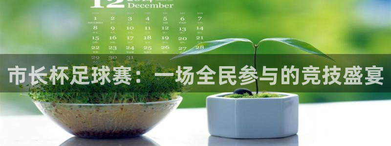 好博体育吧：市长杯足球赛：一场全民参与的竞技盛宴
