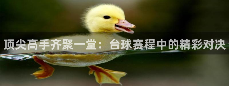 好博体育官网：顶尖高手齐聚一堂：台球赛程中的精彩对决
