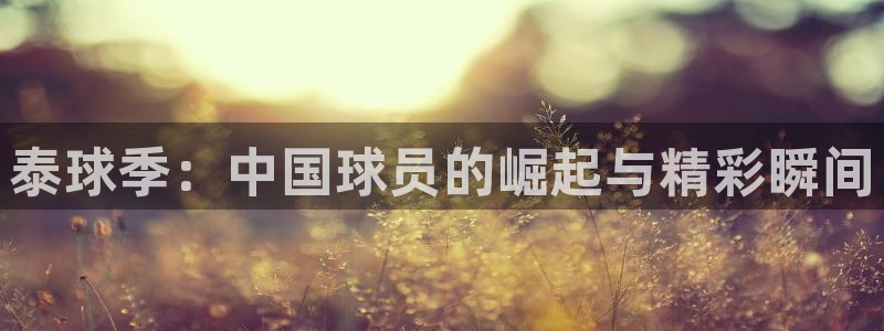 好博体育是正规的吗安全吗可靠吗：泰球季：中国球员的崛起与精彩