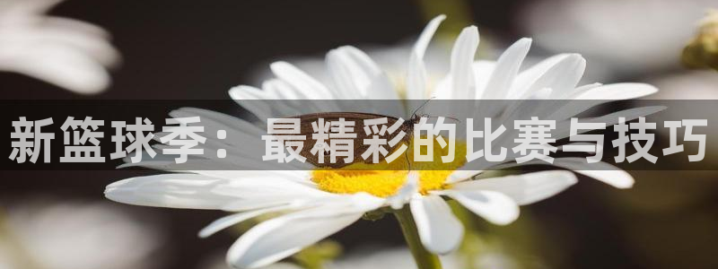 好博体育app官方下载安装最新版本更新时间：新篮球季：最精彩